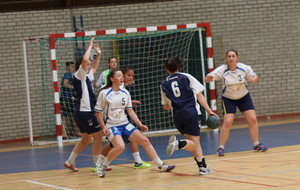 Goelo - ASC Lehon Finale coupe 22 -18F 2013-2014