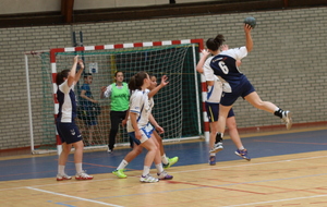 Goelo - ASC Lehon Finale coupe 22 -18F 2013-2014